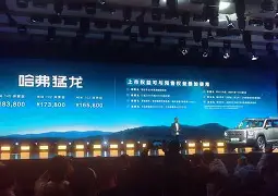 FB体育网页版入口-多伦多猛龙发布备战花絮，清晨官宣签约，法甲任务艰巨，数据趋势出现新变化的简单介绍